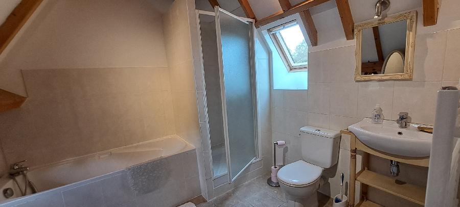 Gite equestre cheval Savignac-de-Miremont en Dordogne  photo 6