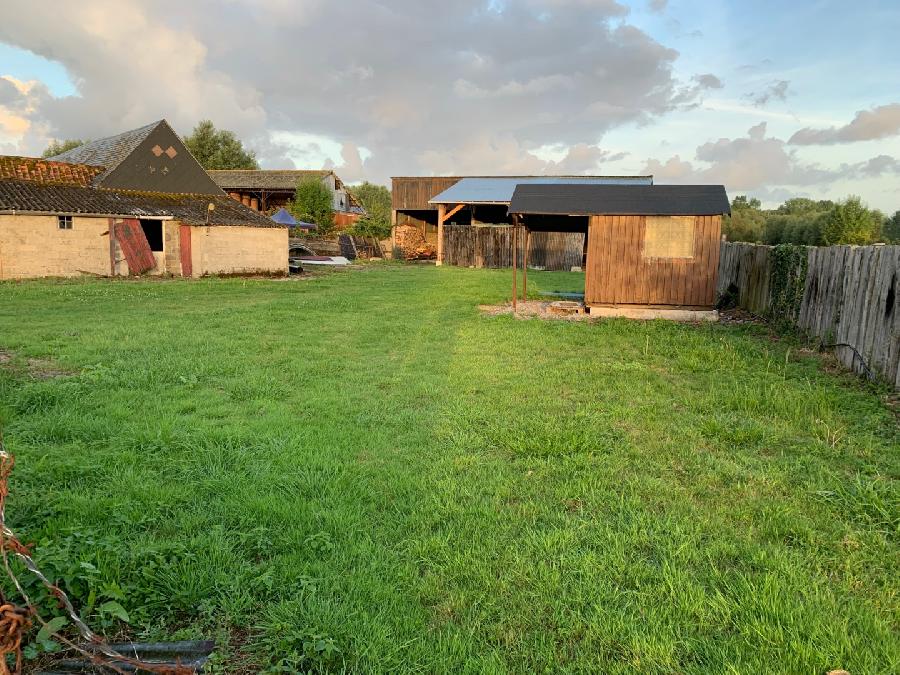 Gite equestre cheval Ponthoile dans la Somme  photo 5