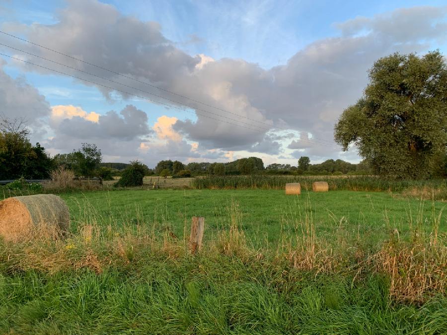Gite equestre cheval Ponthoile dans la Somme  photo 6