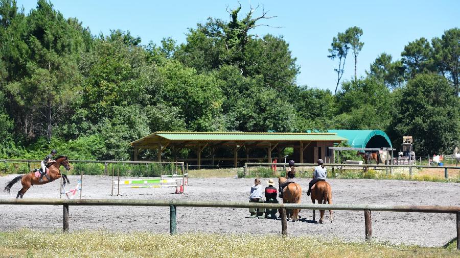 Gite equestre cheval Mimizan dans les Landes  photo 4