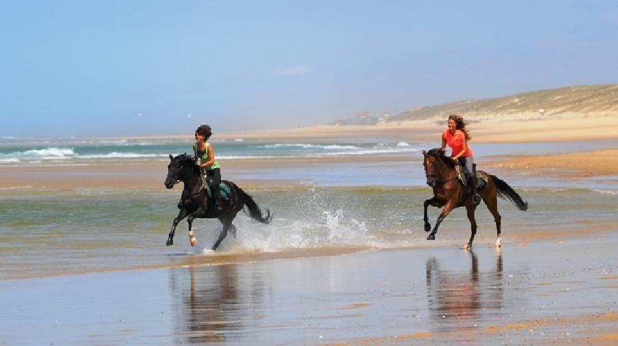 Gite equestre cheval Mimizan dans les Landes  photo 6