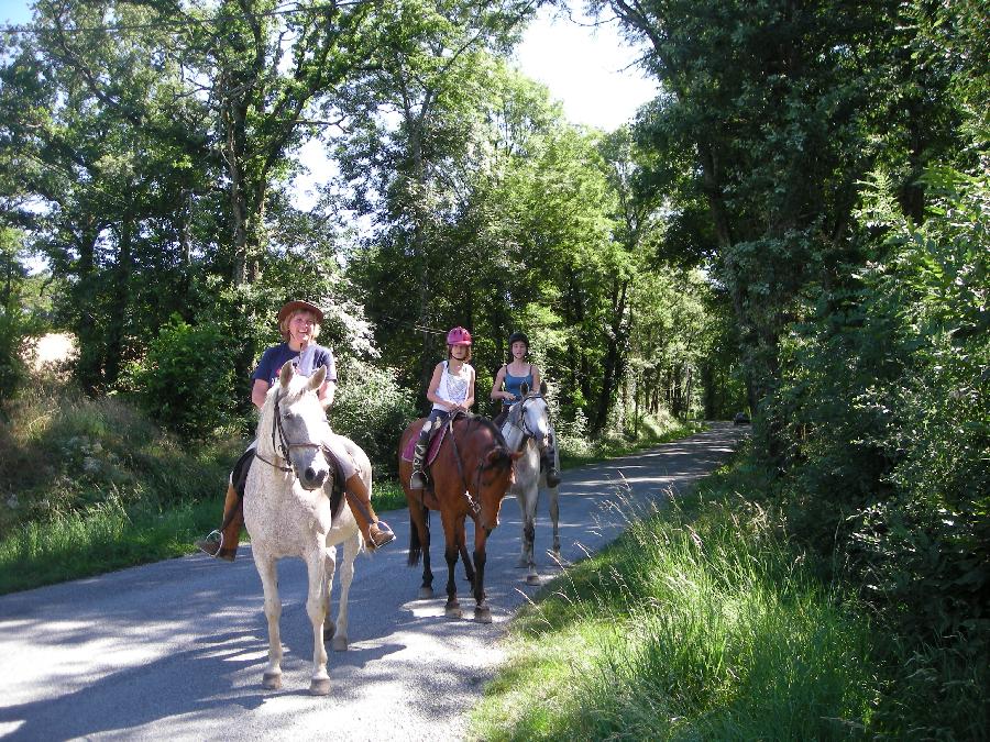 Gite equestre cheval Mont-Roc dans le Tarn  photo 4