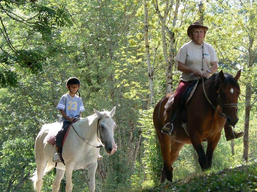 Gite equestre cheval Mont-Roc dans le Tarn  photo 3