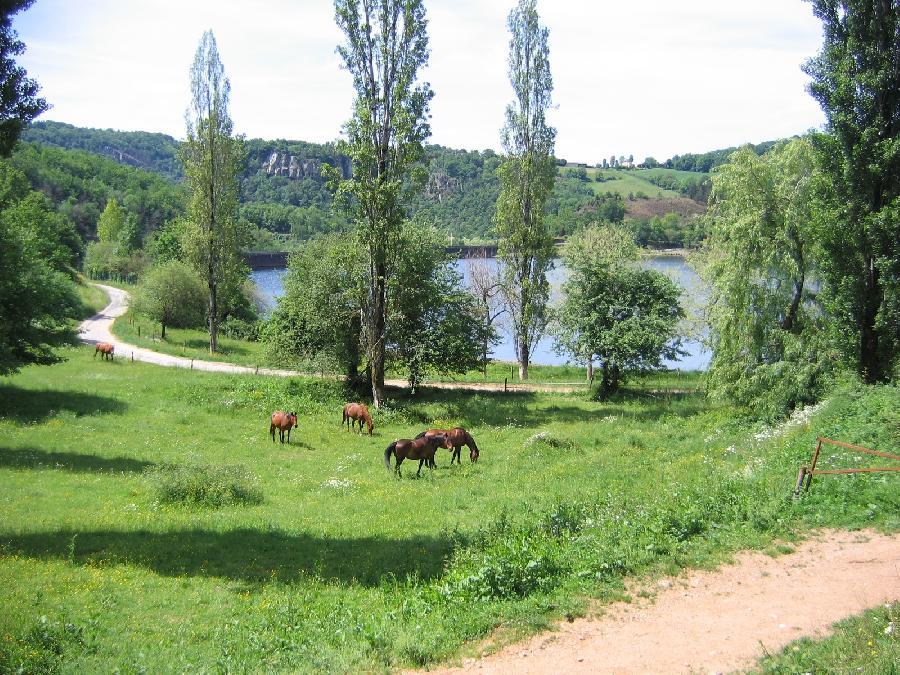 gite equestre Mont-Roc Tarn La Ferme du Lac