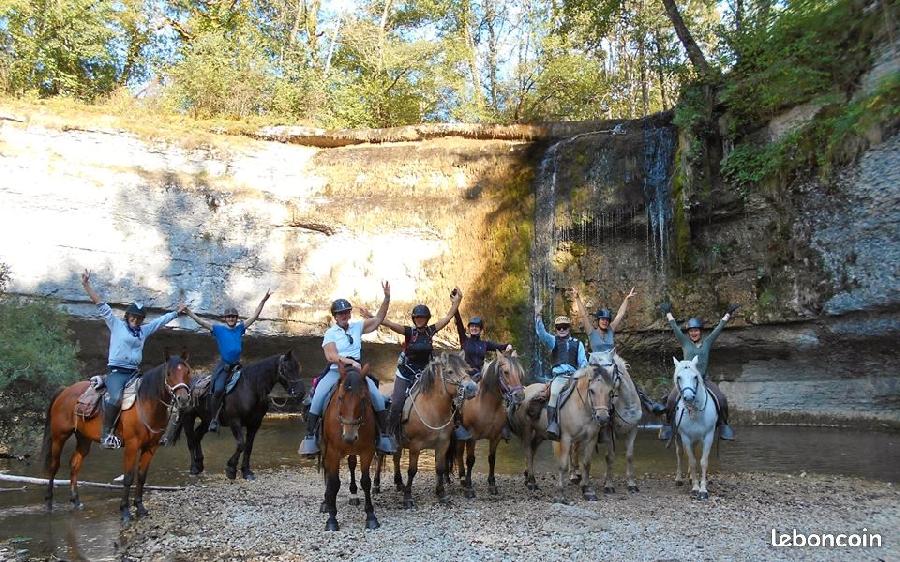 Gite equestre cheval Le Frasnois dans le Jura  photo 5