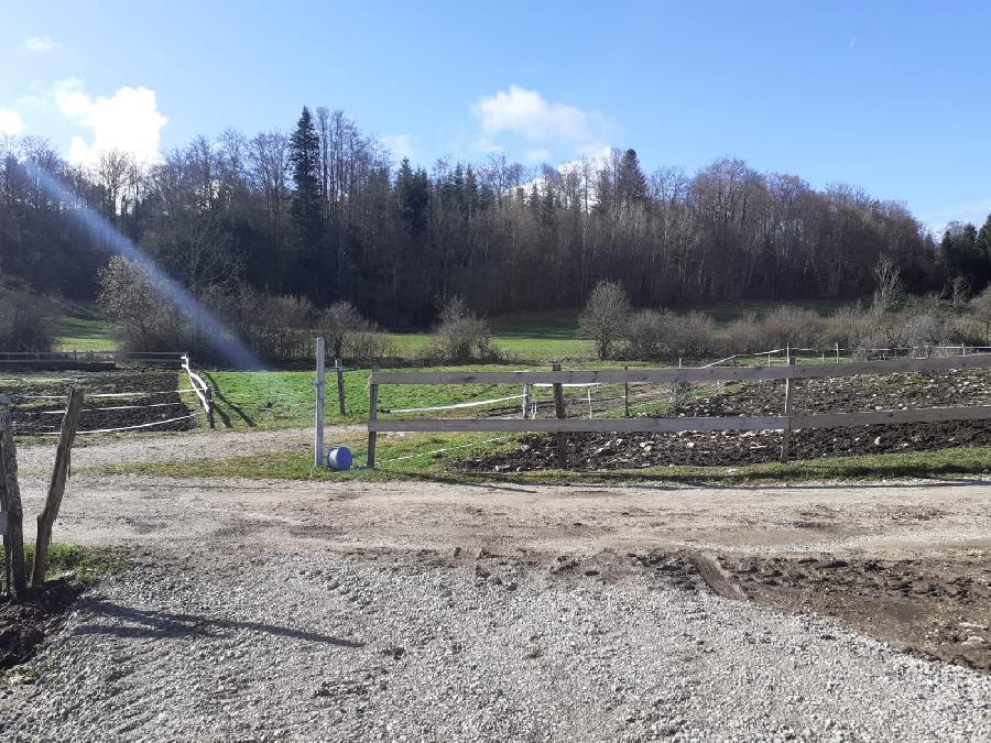 Gite equestre cheval Le Frasnois dans le Jura  photo 6