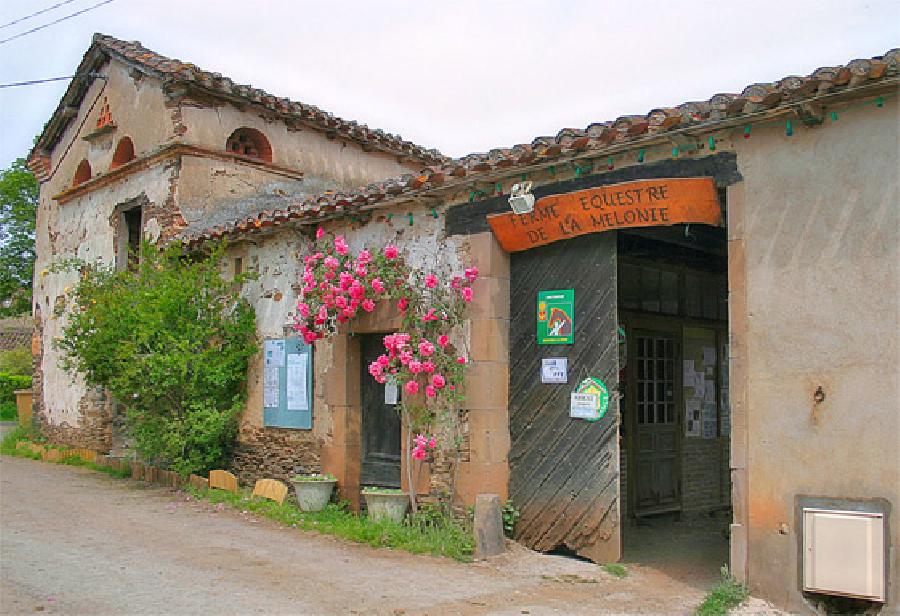 gite equestre Sainte-Gemme Tarn Ferme questre de la Mloni