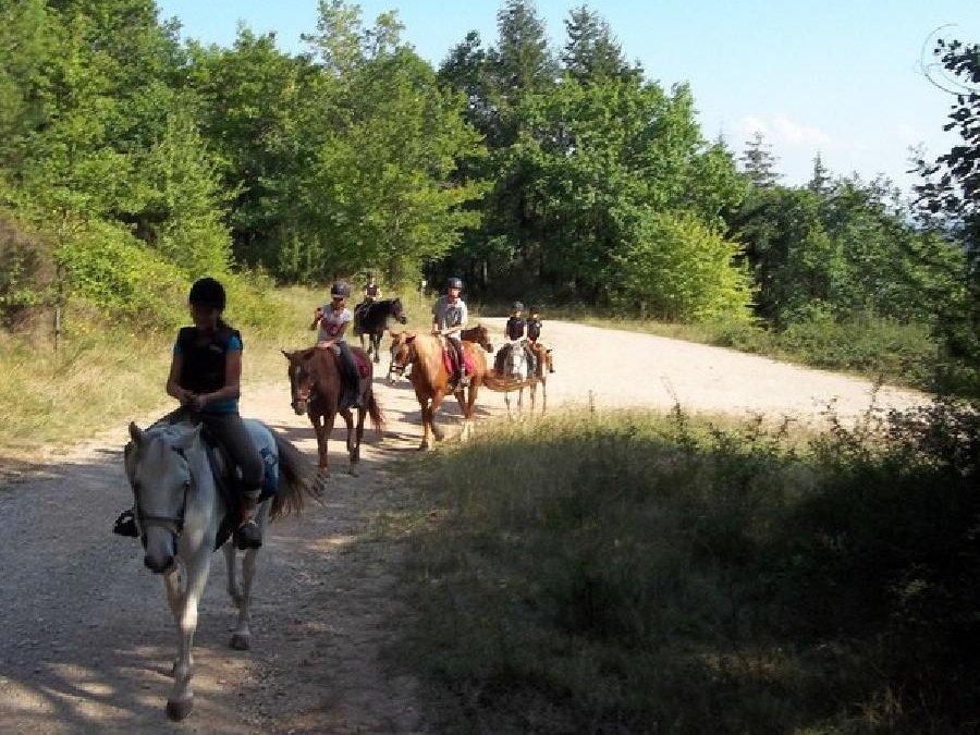 Gite equestre cheval Saint-Beauzile dans le Tarn  photo 2