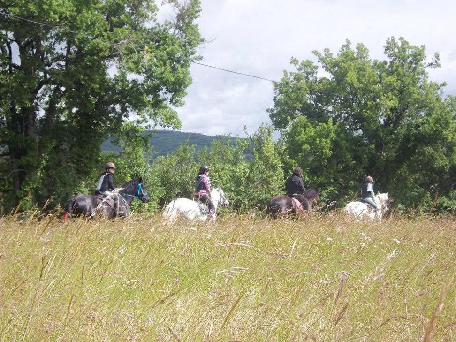 Gite equestre cheval Saint-Beauzile dans le Tarn  photo 6