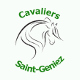 logo Les Cavaliers de Saint Geniez Olivier CHABRAND <em>04200 Saint-Geniez</em>