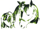 logo Les Ecuries de la Sabatari Julie VIDAL et Magali CHAMBAUD <em>81260 Cambounes</em>