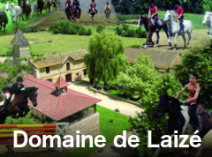 logo Domaine de Laiz