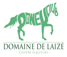 logo Domaine de Laiz�