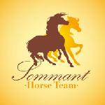 logo annuaire Sommant Horse Team Jean DE CHATILLON 