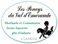 logo Les Poneys du Val d'Émeraude