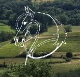 logo annuaire Ferme Equestre de Saint-Laurent Ccile BOUDET 