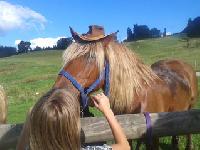 logo Ferme Equestre de la Pelaisse Aline MARLIERE 