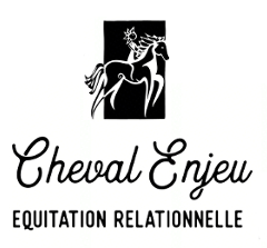logo Cheval Enjeu