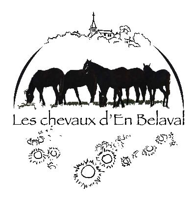 logo Les Chevaux d'en Belaval Carine Gaudemer 