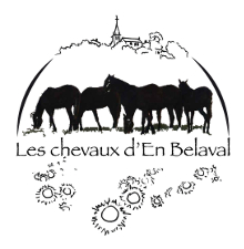 logo Les Chevaux d'en Belaval