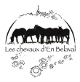logo Les Chevaux d'en Belaval Carine Gaudemer <em>81220 Teyssode</em>