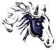 logo Le Cheval par Nature Valrie PAULO <em>11800 Montirat</em>