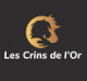 logo Les Crins de l'Or Laure MEYER <em>88410 Bleurville</em>