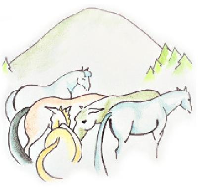 logo annuaire Ferme Équestre du Berbois Mélodie JACQUELIN 