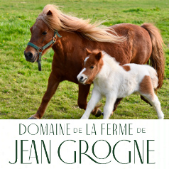 logo Domaine de la Ferme de Jean Grogne