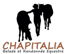 logo Chapitalia
