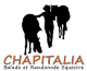 logo annuaire Chapitalia Valrie RAVERA 