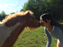  La Maison des Poneys  <em>07290 Satillieu</em> Ardche