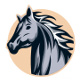 logo Evasion Rando Adeline CHAUVIN <em>32290 Aignan</em>