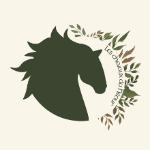 Les Chevaux du Nour  <em>29410 Plouneour Menez</em> Finistre