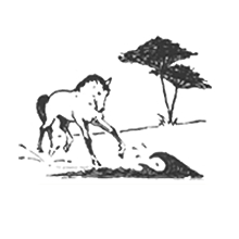 logo Centre questre Marina