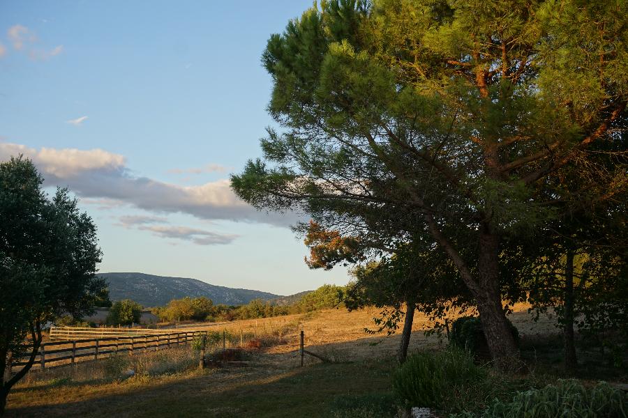 pension cheval  Montlaur Aude Corbires