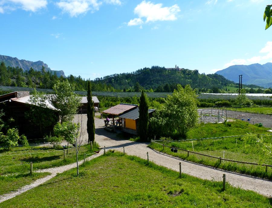 pension cheval  Ventavon Hautes-Alpes Pays du Buch