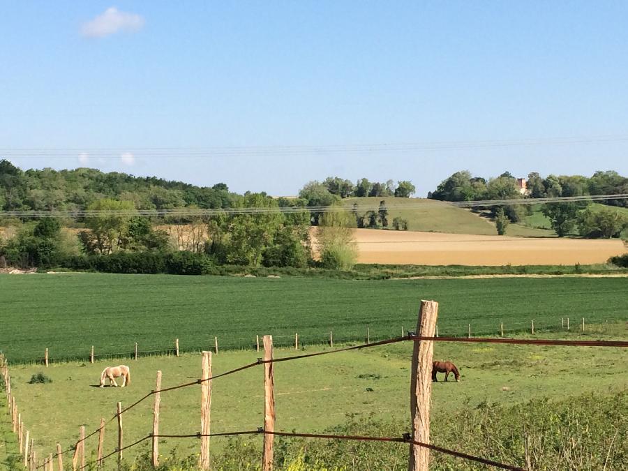 pension cheval  Brat Haute-Garonne Pyrnes