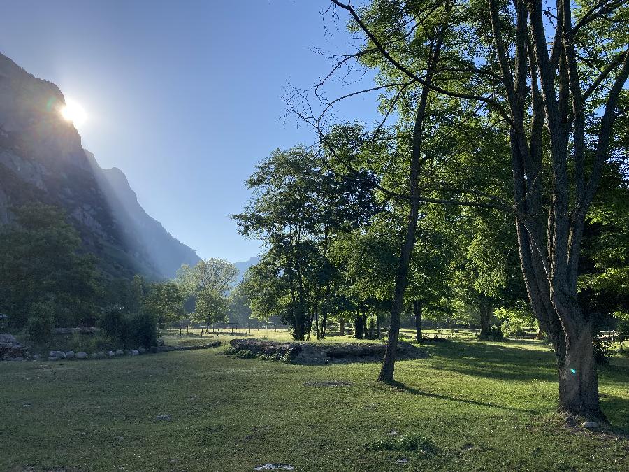 pension cheval  Bouan Arige Pyrnes