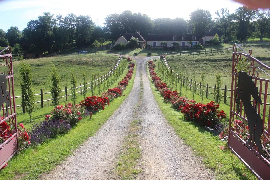 pension cheval  Baneuil Dordogne Prigord