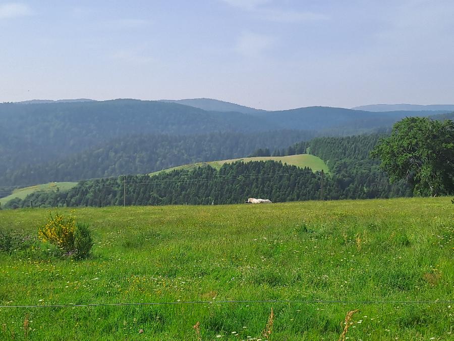 0 Mazan-l'Abbaye   photo 2