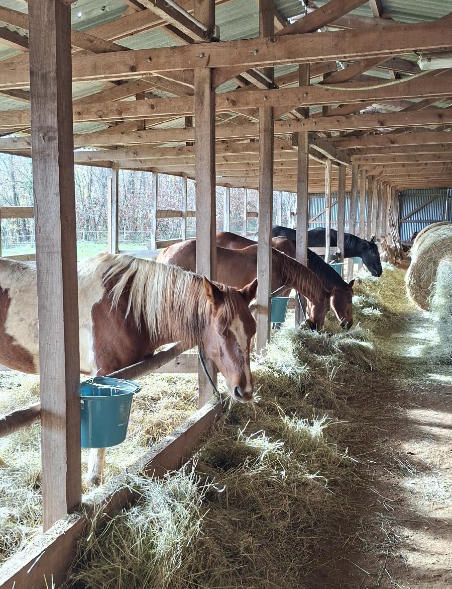 0 Savignac-de-Miremont   photo 2