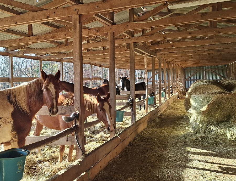 0 Savignac-de-Miremont   photo 4