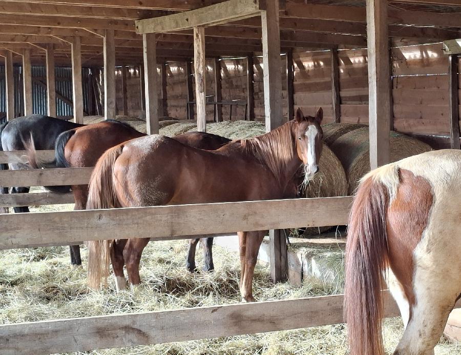 0 Savignac-de-Miremont   photo 6