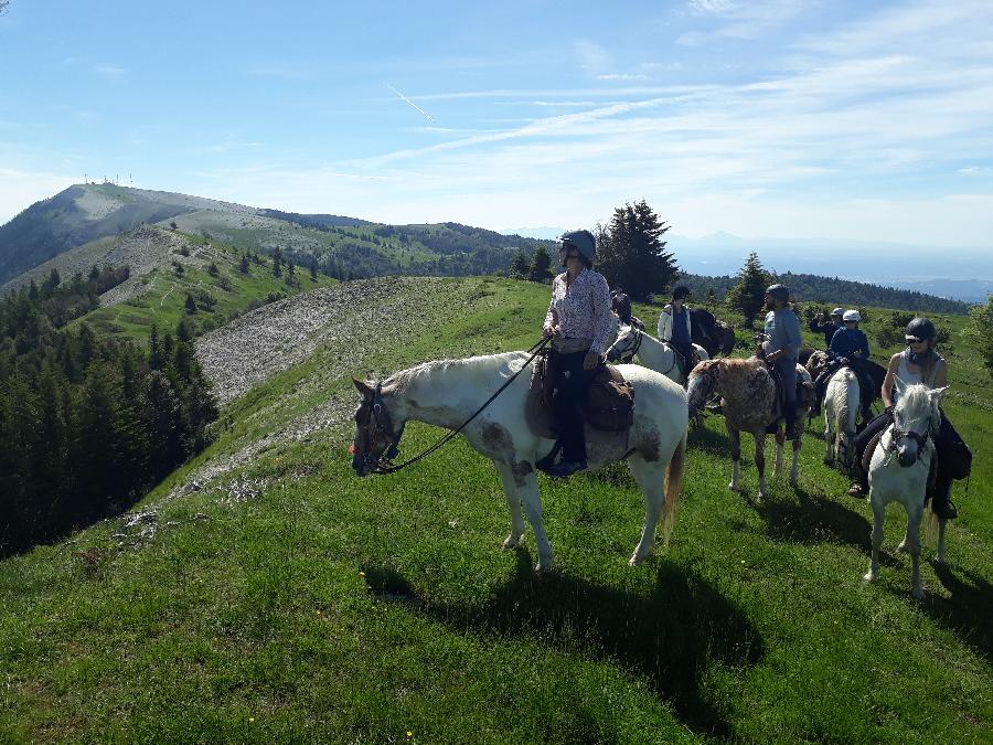 rando Randonnée équestre Alpes de Haute-Provence