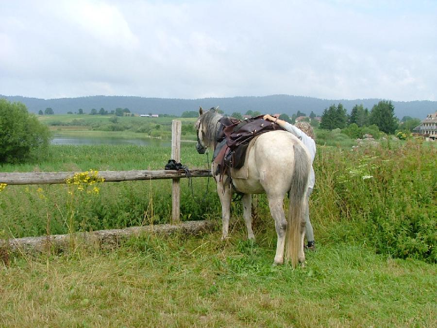 Randonne questre Jura Massif du Jura photo 5