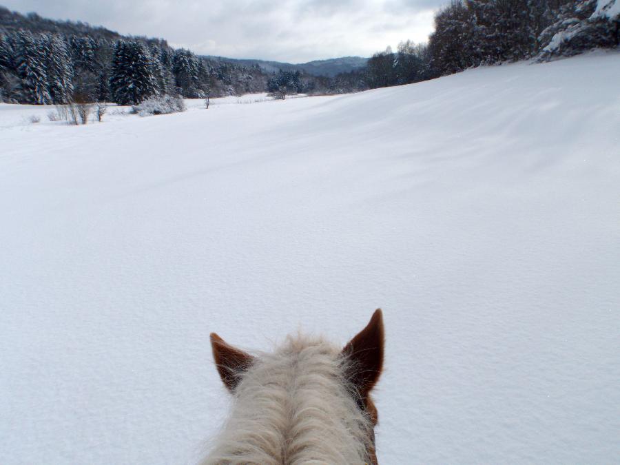 Sjour questre   photo 5