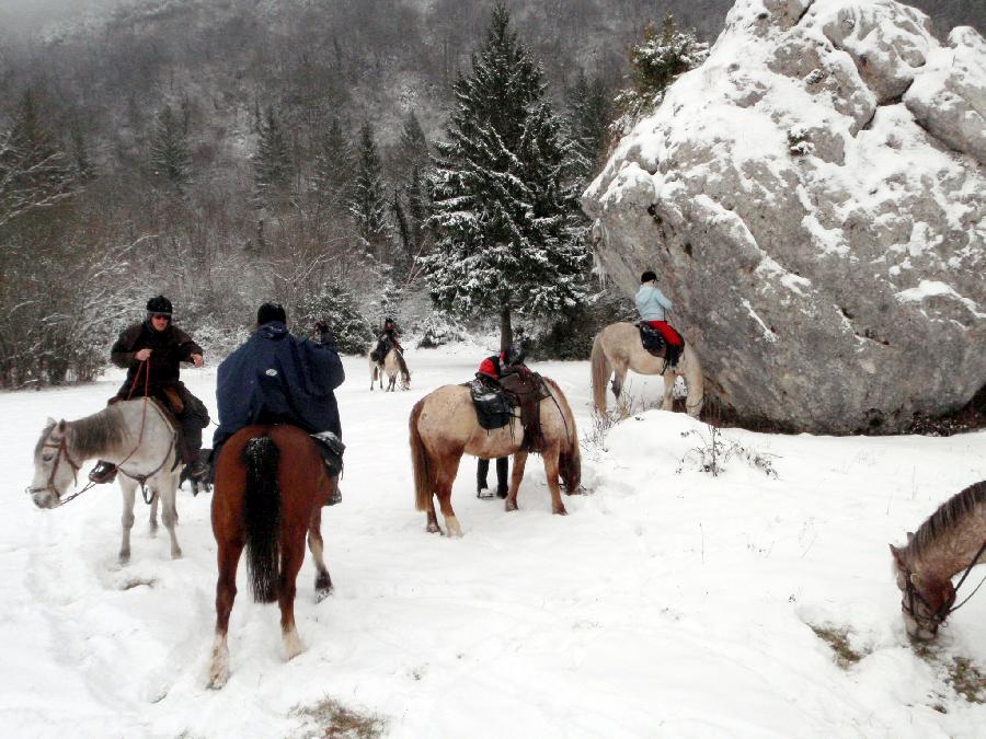 sejour Jura Massif du Jura photo 4