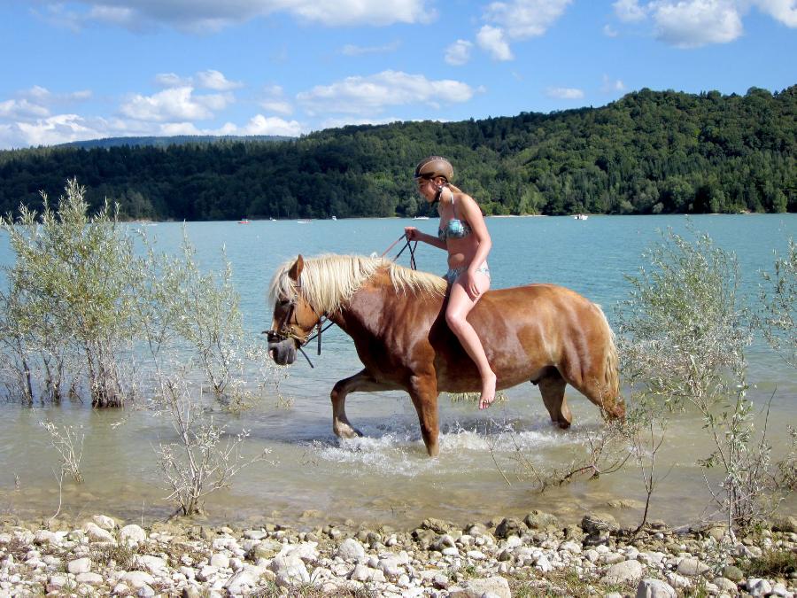 randonnee equestre jura