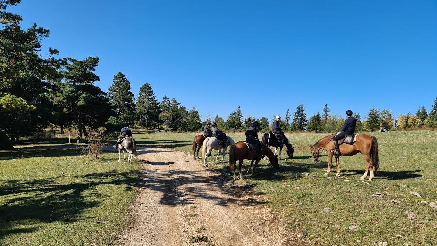 Voyage à cheval Hautes-Alpes Provence photo 5